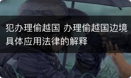 犯办理偷越国 办理偷越国边境具体应用法律的解释