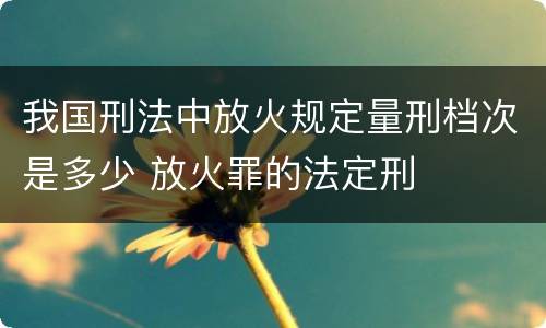 我国刑法中放火规定量刑档次是多少 放火罪的法定刑