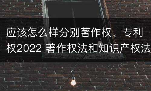 应该怎么样分别著作权、专利权2022 著作权法和知识产权法