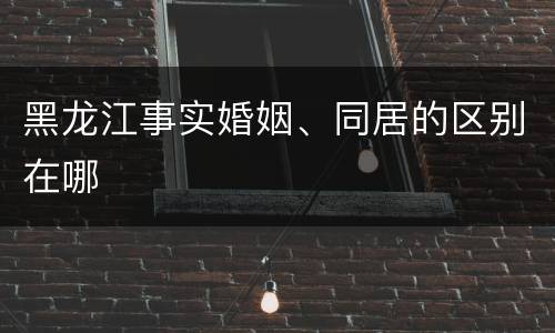 黑龙江事实婚姻、同居的区别在哪