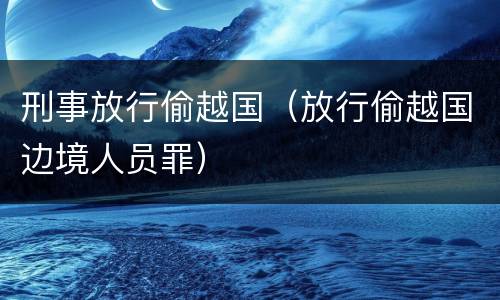 刑事放行偷越国（放行偷越国边境人员罪）