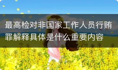 最高检对非国家工作人员行贿罪解释具体是什么重要内容