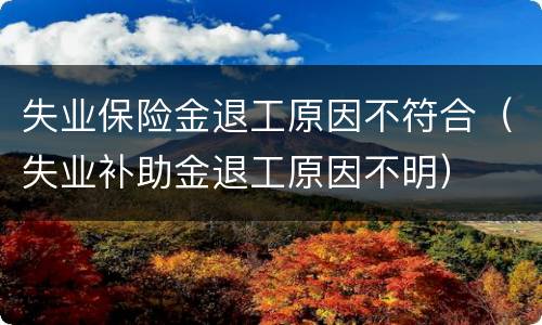 失业保险金退工原因不符合（失业补助金退工原因不明）
