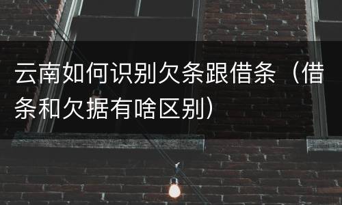 云南如何识别欠条跟借条（借条和欠据有啥区别）