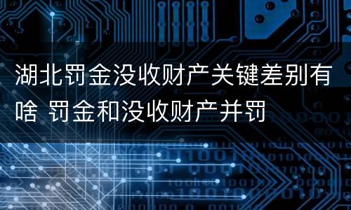 湖北罚金没收财产关键差别有啥 罚金和没收财产并罚