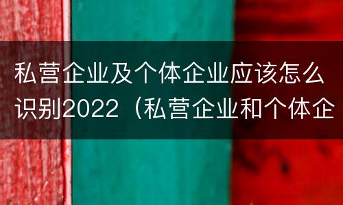 私营企业及个体企业应该怎么识别2022（私营企业和个体企业）