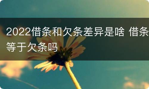 2022借条和欠条差异是啥 借条等于欠条吗