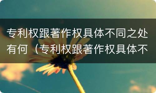 专利权跟著作权具体不同之处有何(专利权跟著作权具体不同之处有何不同)