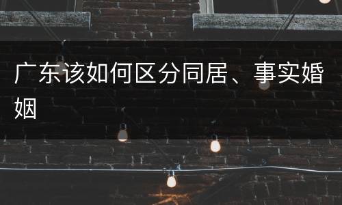 广东该如何区分同居、事实婚姻