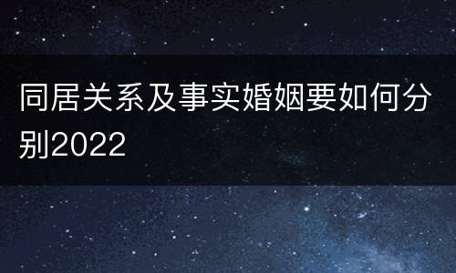 同居关系及事实婚姻要如何分别2022