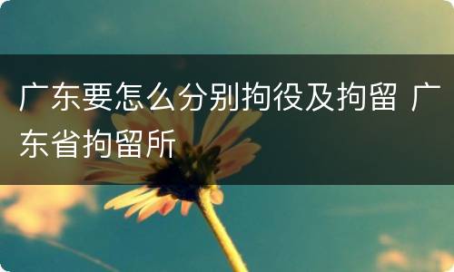 广东要怎么分别拘役及拘留 广东省拘留所