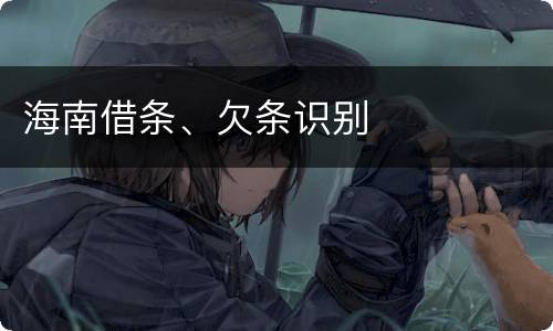 海南借条、欠条识别