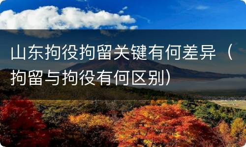 山东拘役拘留关键有何差异（拘留与拘役有何区别）