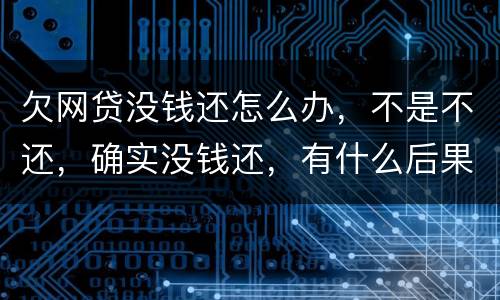 欠网贷没钱还怎么办，不是不还，确实没钱还，有什么后果吗