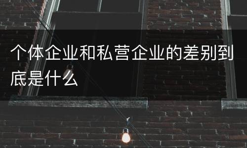 个体企业和私营企业的差别到底是什么