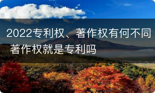 2022专利权、著作权有何不同 著作权就是专利吗