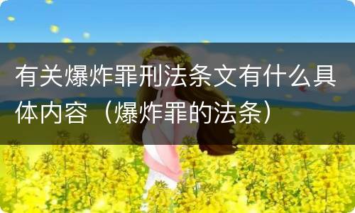 有关爆炸罪刑法条文有什么具体内容（爆炸罪的法条）