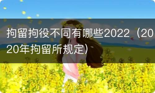 拘留拘役不同有哪些2022（2020年拘留所规定）