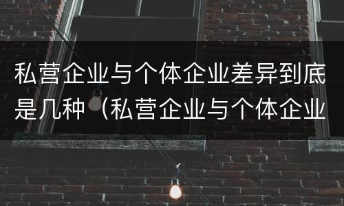 私营企业与个体企业差异到底是几种（私营企业与个体企业差异到底是几种形态）