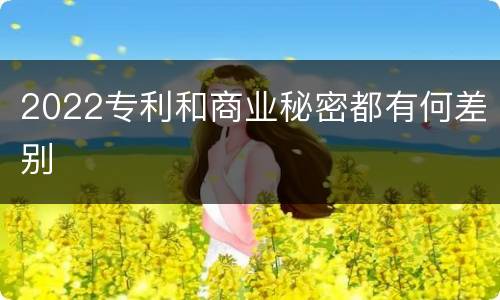 2022专利和商业秘密都有何差别