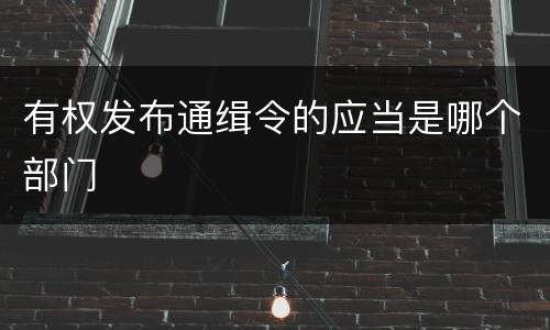 有权发布通缉令的应当是哪个部门
