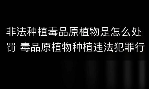 非法种植毒品原植物是怎么处罚 毒品原植物种植违法犯罪行为