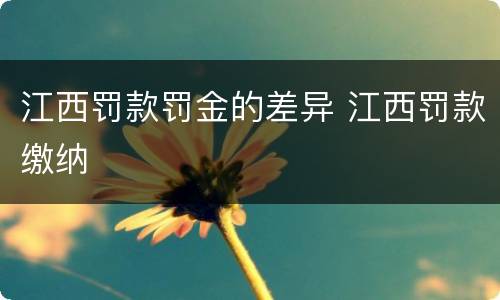 江西罚款罚金的差异 江西罚款缴纳