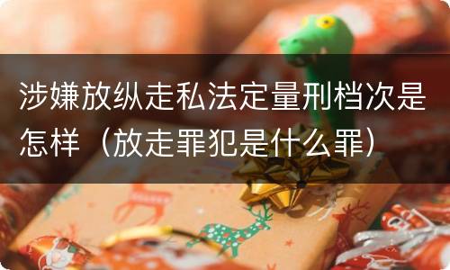 涉嫌放纵走私法定量刑档次是怎样（放走罪犯是什么罪）