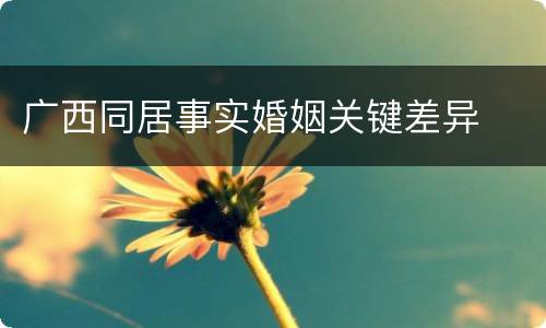 广西同居事实婚姻关键差异