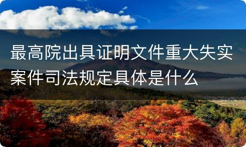 最高院出具证明文件重大失实案件司法规定具体是什么