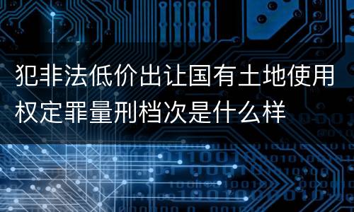 犯非法低价出让国有土地使用权定罪量刑档次是什么样