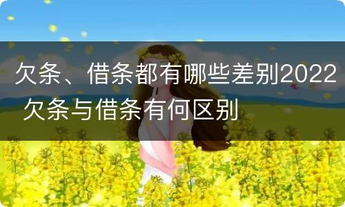 欠条、借条都有哪些差别2022 欠条与借条有何区别