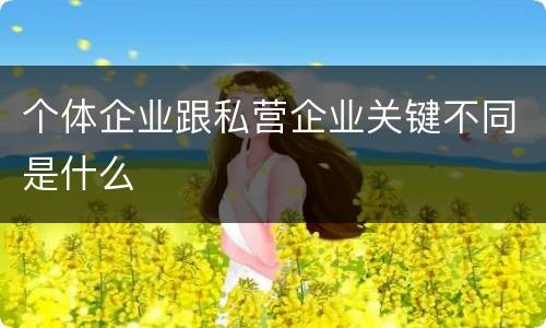 个体企业跟私营企业关键不同是什么