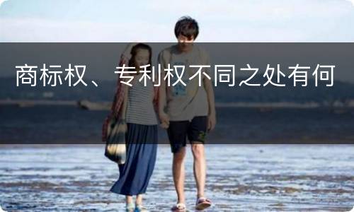 商标权、专利权不同之处有何