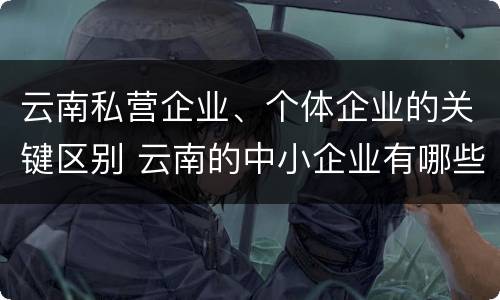 云南私营企业、个体企业的关键区别 云南的中小企业有哪些
