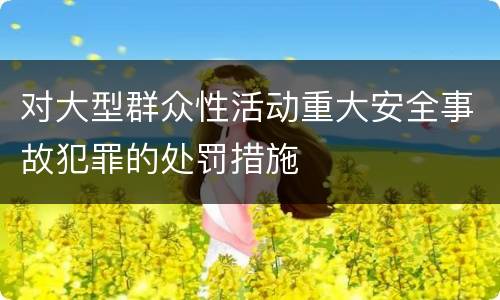 对大型群众性活动重大安全事故犯罪的处罚措施