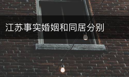 江苏事实婚姻和同居分别