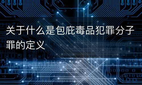 关于什么是包庇毒品犯罪分子罪的定义