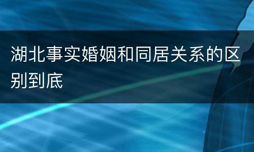 湖北事实婚姻和同居关系的区别到底