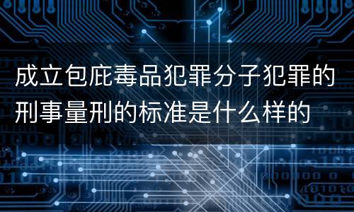 成立包庇毒品犯罪分子犯罪的刑事量刑的标准是什么样的