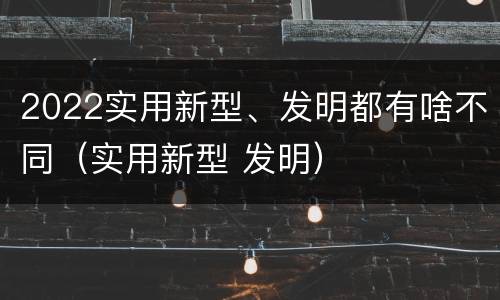 2022实用新型、发明都有啥不同（实用新型 发明）
