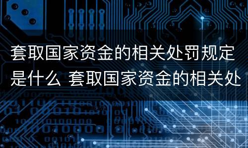 套取国家资金的相关处罚规定是什么 套取国家资金的相关处罚规定是什么意思