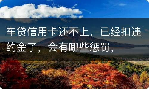 车贷信用卡还不上，已经扣违约金了，会有哪些惩罚，
