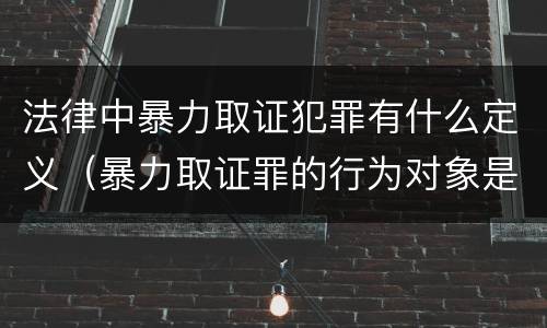 法律中暴力取证犯罪有什么定义（暴力取证罪的行为对象是）