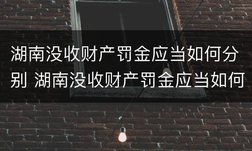 湖南没收财产罚金应当如何分别 湖南没收财产罚金应当如何分别处罚
