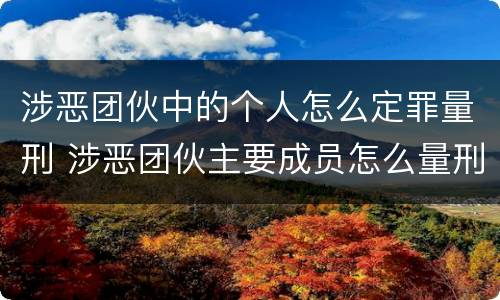 涉恶团伙中的个人怎么定罪量刑 涉恶团伙主要成员怎么量刑