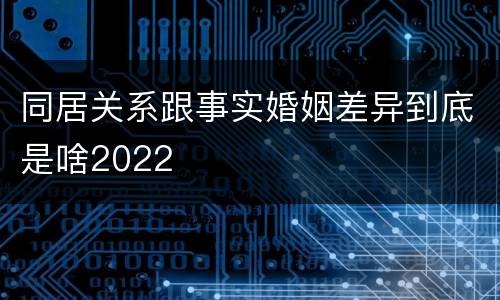 同居关系跟事实婚姻差异到底是啥2022