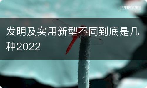 发明及实用新型不同到底是几种2022