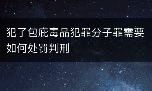 犯了包庇毒品犯罪分子罪需要如何处罚判刑