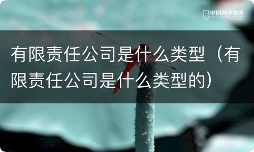 有限责任公司是什么类型（有限责任公司是什么类型的）